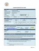 PLANIFICACIÓN DIDÁCTICA CURSO