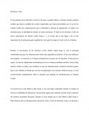 Ensayo Derechos Civiles