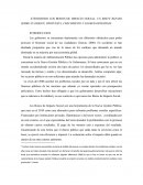 ETENDIENDO LOS BONOS DE IMPACTO SOCIAL: UN BREVE REPASO SOBRE SU ORIGEN, PROPUESTA, CRECIMIENTO Y LOGROS OBTENIDOS
