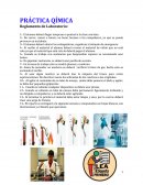 PRÁCTICA QÍMICA Reglamento de Laboratorio
