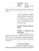 DEMANDA DE TENENCIA DE MENOR