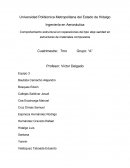 Comportamiento estructural en reparaciones del tipo step sanded en estructuras de materiales compuestos