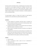 Técnicas de aprendizaje PHILLIPS 6/6