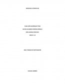 Medicinas alternativas TRABAJO DE INVESTIGACION