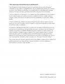 Comentario sobre el Desarrollo Local y la Globalización