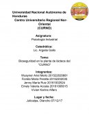 Bioseguridad en la planta de lácteos del “CURNO”