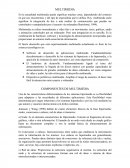 Multimedia se refiere normalmente a vídeo fijo o en movimiento