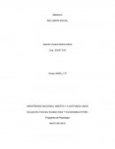 COMO ES UNA INCLUSION SOCIAL