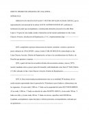 OBJETO: PROMOVER DEMANDA DE USACAPION