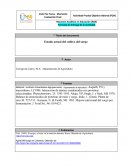 Cual es el Estado actual del cultivo del sorgo