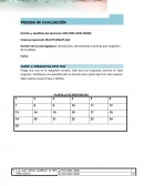 PRUEBA DE EVALUACIÓN MULTITANQUES SAS