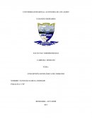 CONCEPCIÓN SOCIOLÓGICA DEL DERECHO