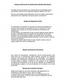 Pre campamento Equipo de integración virtual.