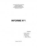 Escuela de Ingeniería Civil Departamento de Física Cátedra: Laboratorio de Física II INFORME N°