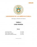 TAREA 2 CASO ROHESA