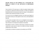 ANALISIS CRITICO DE CASO EMPIRICO EN LA EVALUACION DEL RIESGO DE CREDITO DE UNA INSTITUCION DE MIROFINANZAS PERUANA