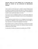 ANALISIS CRITICO DE CASO EMPIRICO EN LA EVALUACION DEL RIESGO DE CREDITO DE UNA INSTITUCION DE MIROFINANZAS PERUANA