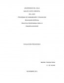 EDUCACION ESPECIAL PRACTICA PROFESIONAL NIVEL III