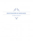 INVESTIGACIÓN DE MERCADOS ATV TOURS “El VIEJO & YO”