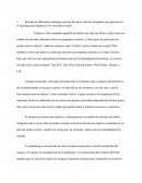 Resume las diferentes estrategias que han llevado a cabo las compañías que aparecen en el reportaje para adaptarse a los mercados locales