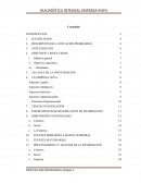 Diagnostico integral Empresa Nova