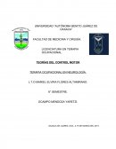 ¿Qué es una teoría sobre el control motor?