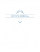 PROYECTO DE MEJORA Plan de Mejora Problemática