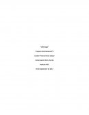 Liderazgo. Proyecto final