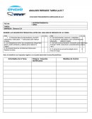 Matriz de Riesgo EMPRESA: Siemens S.A