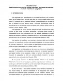PRÁCTICA N° 03 Determinación de la dieta de Athene cunicularia “lechuza de los arenales” mediante el análisis de egagrópilas