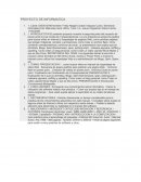Proyecto de informatica. Presentacion proyectos informaticos
