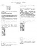 ECONOMÍA-PRACTICA DIRIGIDA LA OFERTA