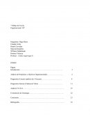 Análisis de Propósitos y objetivos Organizacionales