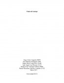 Electiva Técnica 2 - Biocombustibles