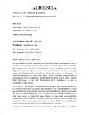 RESUMEN DE LA AUDIENCIA: Audiencia