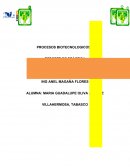 PROCESOS BIOTECNOLOGICOS 2 REPORTE DE PRÁCTICA ANALISIS DE LA CALIDAD DEL HUEVO