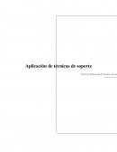 La neuva Aplicacion de tecnicas de soporte