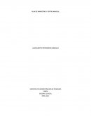 PLAN DE MARKETING Y VENTAS NAVIDUL