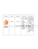 Como son los Productos para exportación