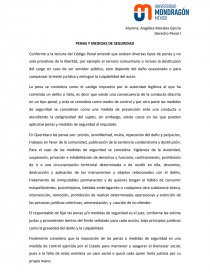 RESEÑA PENAS Y MEDIDAS DE SEGURIDAD. Página 1