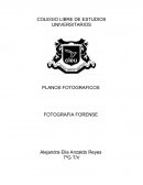 Planos fotográficos en la criminalistica