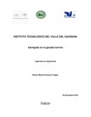 ENSAYO SOBRE UNA Garrapata en ganado bovino