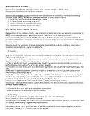 CREACION DE CAPITAL DE MARCA