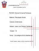 Ensayo sobre Los peligros de la obediencia