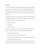 Ensayo de La clonación.