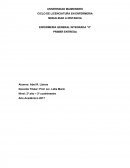 Enfermeria integrada 2