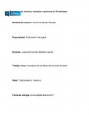 Trabajo: Mapa conceptual de las fases del proceso de duelo