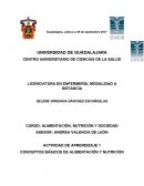 Cuales son los Conceptos básicos de alimentación y nutrición