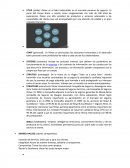 Seguros Rimac Analisis McKinsey