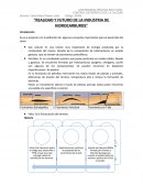 Realidad y futuro de la industria de hidrocarburos